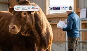 kapan lebaran haji 2026